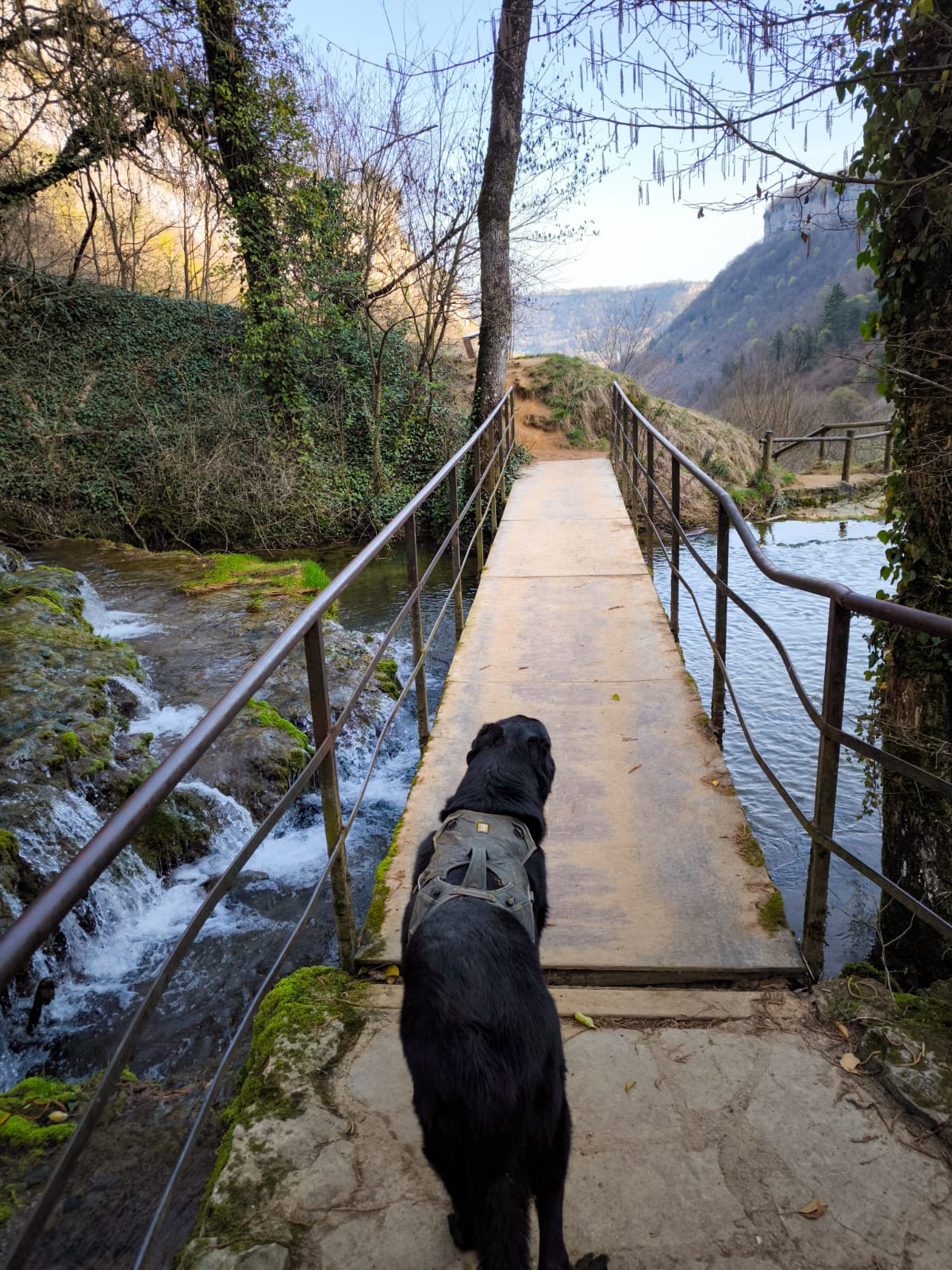 11ff4cee-feef-4202-85aa-fbc808fc6bb7