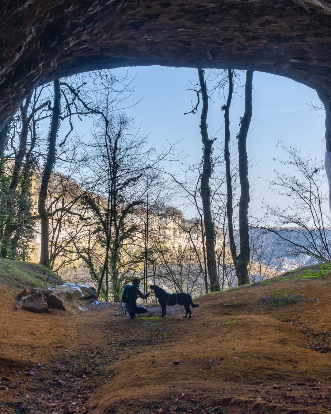 6c31f210-caed-4682-a8c1-becf8d620146