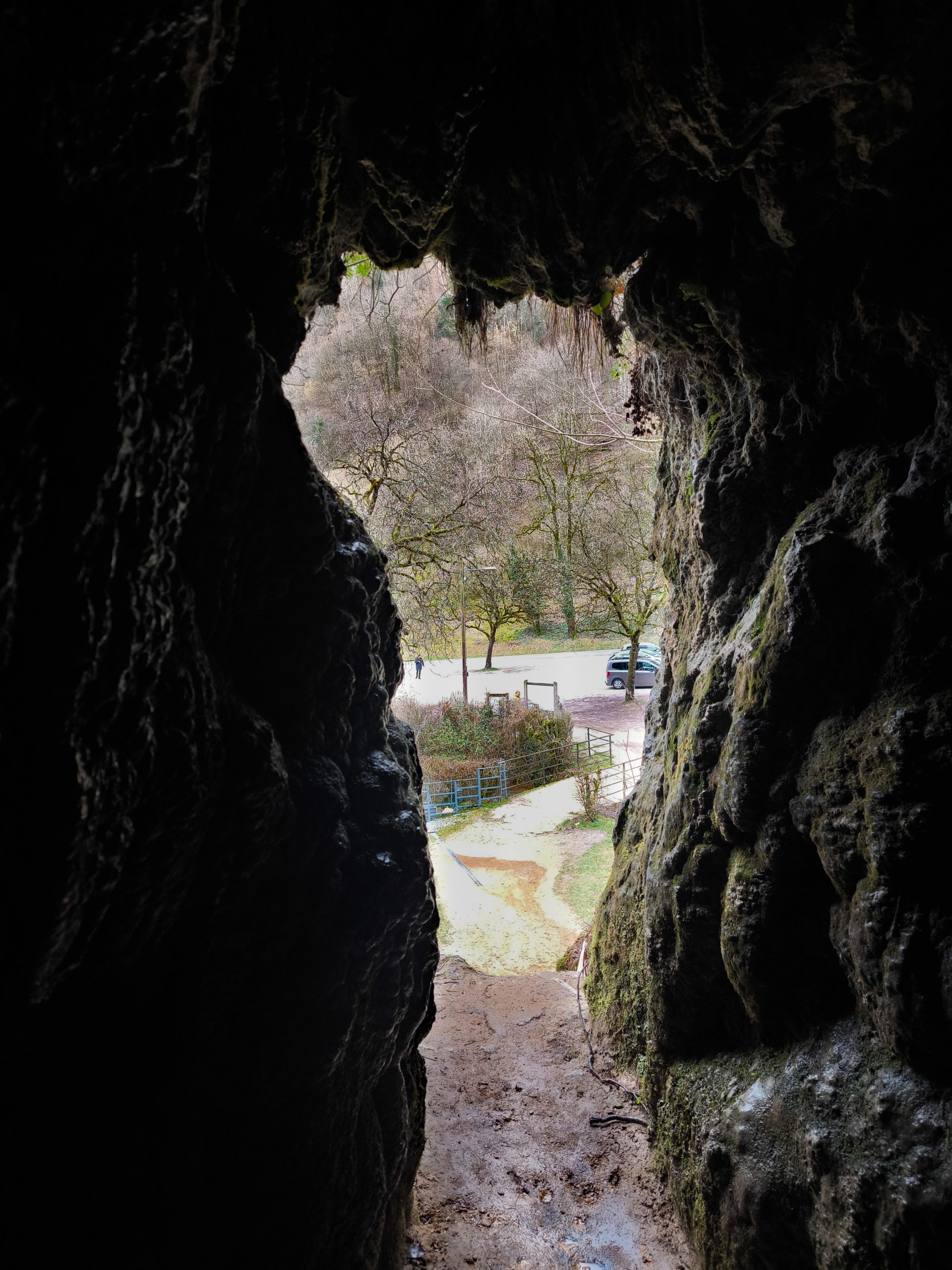 IMG_20260222_125140 (1)