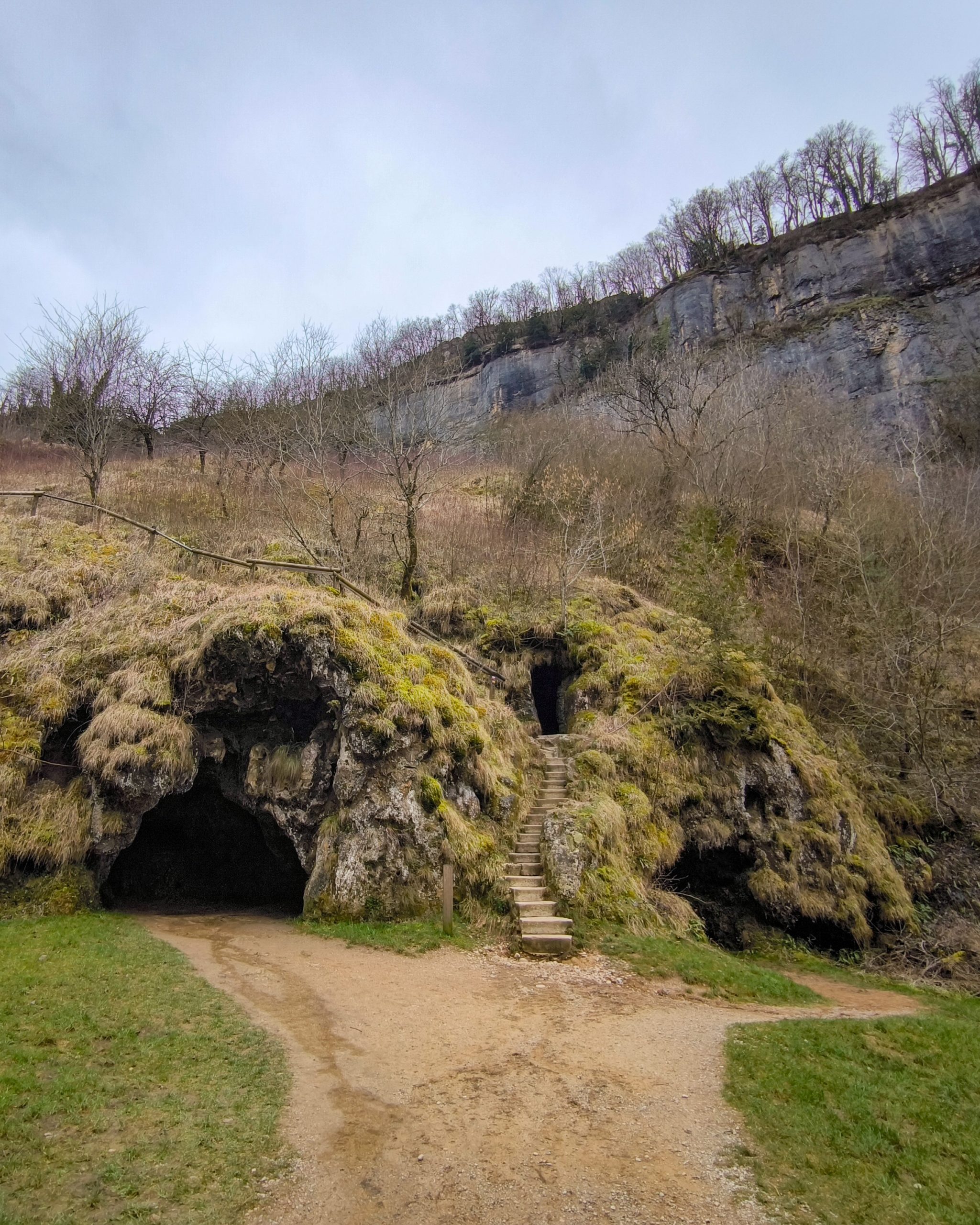 IMG_20260222_125244 (1)