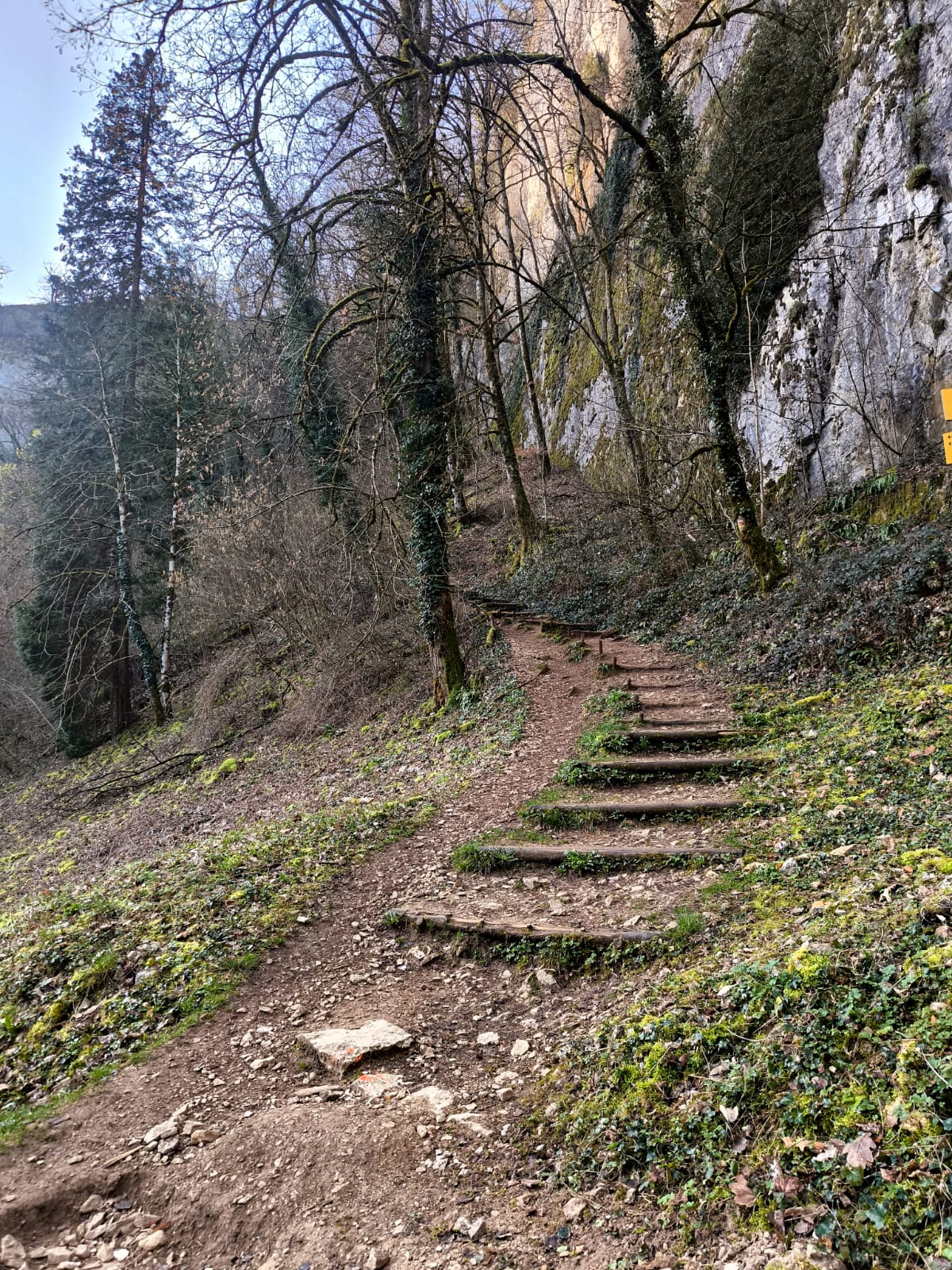 c8360107-bc1a-45c2-aaee-9e0c79da538f