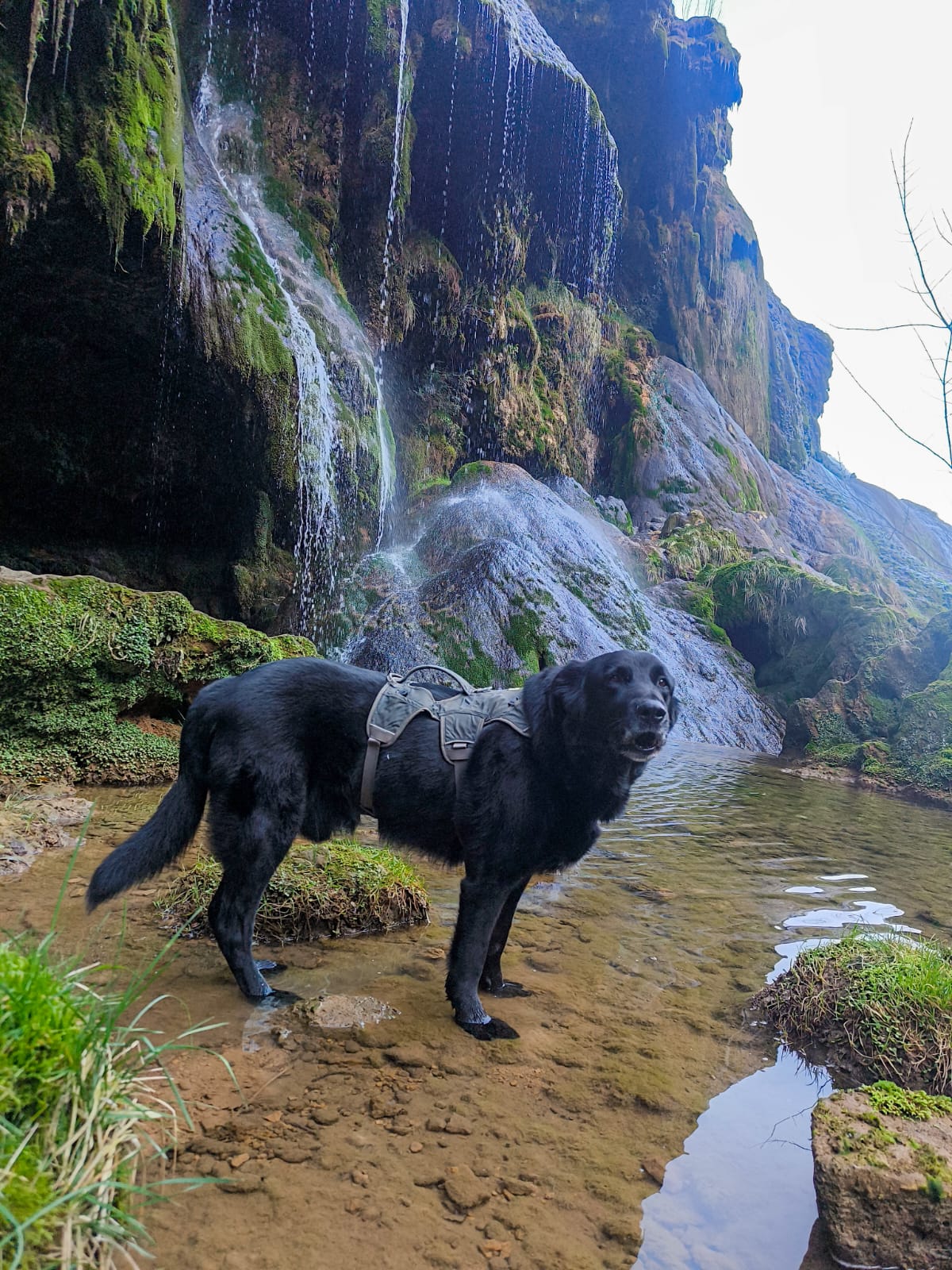 deca5512-9482-4fca-b17b-66b95ecd586b