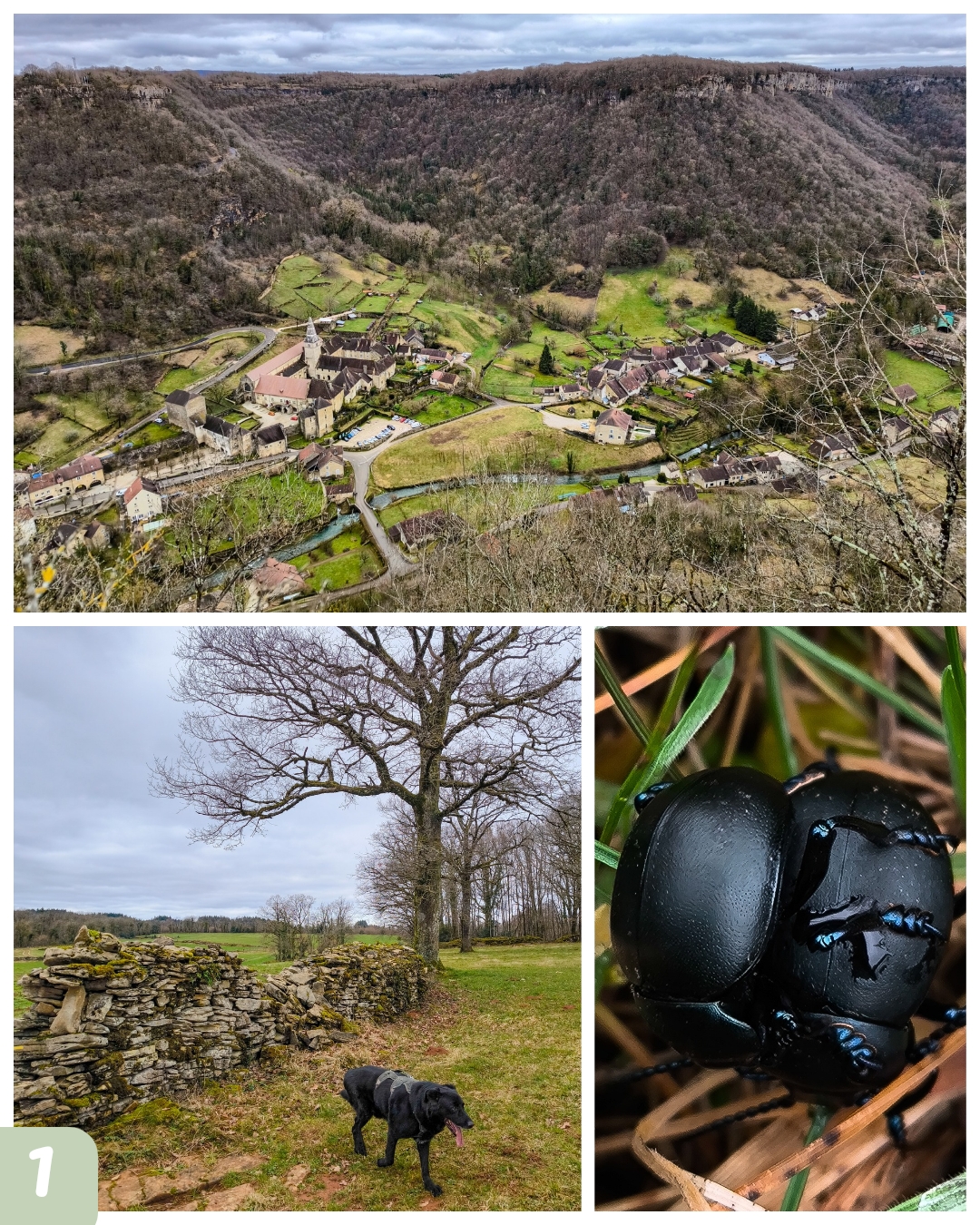 publication instagram portrait_20260303_181512_0001